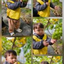 윤재농장 이미지