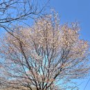 회현면사무소 이미지