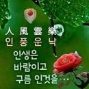 WHO가 발표한 "2024년 장수비결..?" 이미지