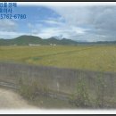 사리골천 이미지