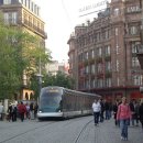 한낮의 꿈 이미지