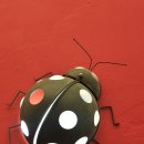 축령산휴양림 무당벌레 화장실 네이버블로그