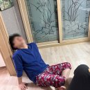 [일상] 2024년 11월 두 번째 소소일상
