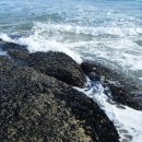 상수민박 이미지