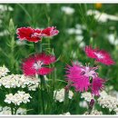 마음의안경 이미지