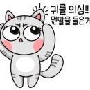 안산동물병원