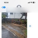 캐슬블랙스톤1 이미지