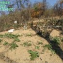 강동-길동-12 이미지