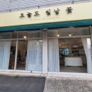 오늘도빛날꽃