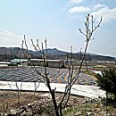 주형농장 이미지