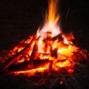 송호하나농장 이미지