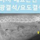 메디스동물병원 이미지