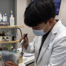 북구우리들병원 | 광주 북구 동물병원 비타에서 각막궤양 치료받은 후기