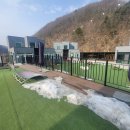 퍼피랜드 이미지