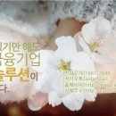 엔젤솔루션