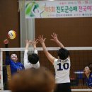 상아배이길 이미지