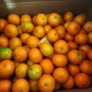 지운농장 이미지