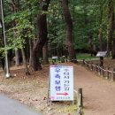 공작산생태숲 교육관 | 홍천 수타사와 공작산 생태숲 방문 후기후기~!