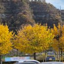 신안평거녹지 이미지