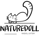 자연돌스(naturedoll) 이미지