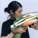 페스코 이미지