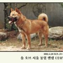 오브솔