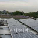 그린시티 이미지