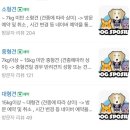 Show Dog | 경기도 최대 규모 강아지 테마파크 (수영장) 송추 ‘도그 스포지움’ 소.중현견 이용 후기