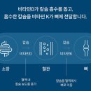 아나파건강기능식품 | 유레카 부모님 무릎 ‘아이고’ 소리 그만! 속 쓰림 없이 매일 챙기는 천심련 파렉틴 아나파렉틴