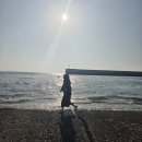 [네파 후기 2탄]안유진 템! 직접 써본 찐! 솔직 후기 가져왔따💕