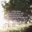 작은여우 이미지