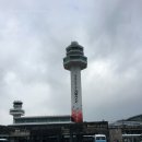 제주] 제주여행 일정 1일차 : 공항 - 김만복 김밥 - 제라진 오프로드 - 비자림 - 선흘곶 - 월정리...