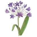 신양테마파크 이미지