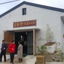 일출봉아로니아 이미지