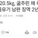 한남이 또 아내 죽임 이미지