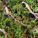 석화농장 이미지