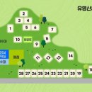 유명산힐링캠핑장 네이버블로그