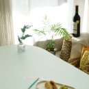 제이유인터내셔널 이미지