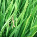 이가농장 이미지