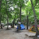 계림정야영장 이미지