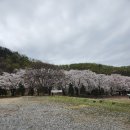 청려수련원 이미지