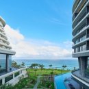 신도리-8 이미지