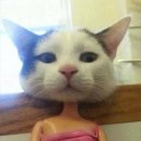 타이밍 이미지