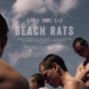 바닷가의 쥐들 ( Beach Rats, 2017 ) 이미지