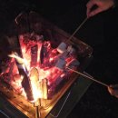 아름다운선 | 우리 가장 아름다운 선을 만들자