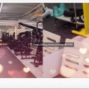 해부학적운동 목동점 이미지