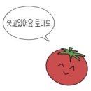 멋쟁이토마토