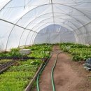 흥농종묘 이미지