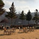 테라스의 아침 | 홍천 비발디파크 근처 애견동반 카페 추천 [테라스의아침카페] 홍천강 뷰 브런치 &amp; 내돈내산 솔직후기