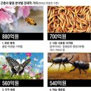 은성산업(주) 이미지